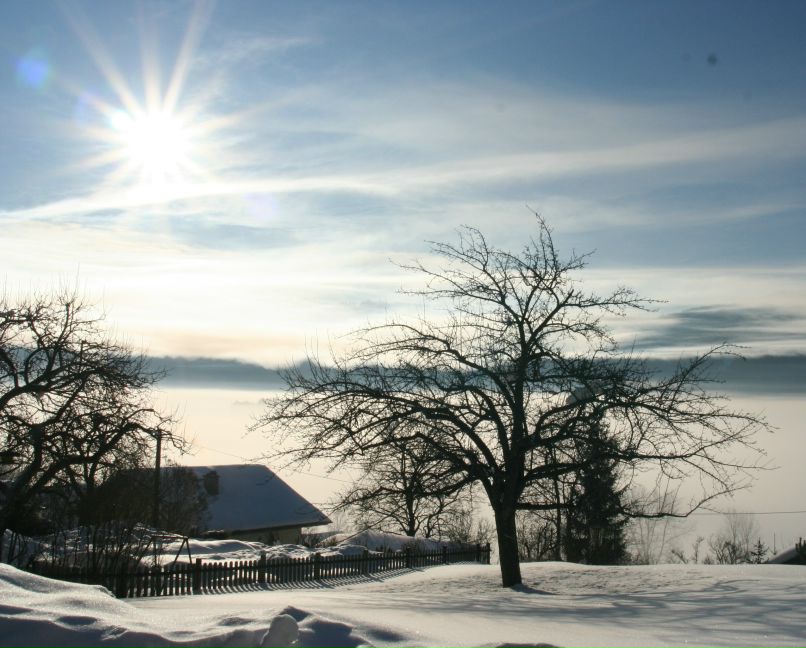 Ольга Кузьмичёнок | Москва