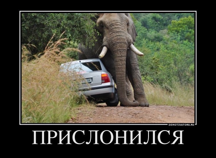 Сергей Поздняков | Санкт-Петербург