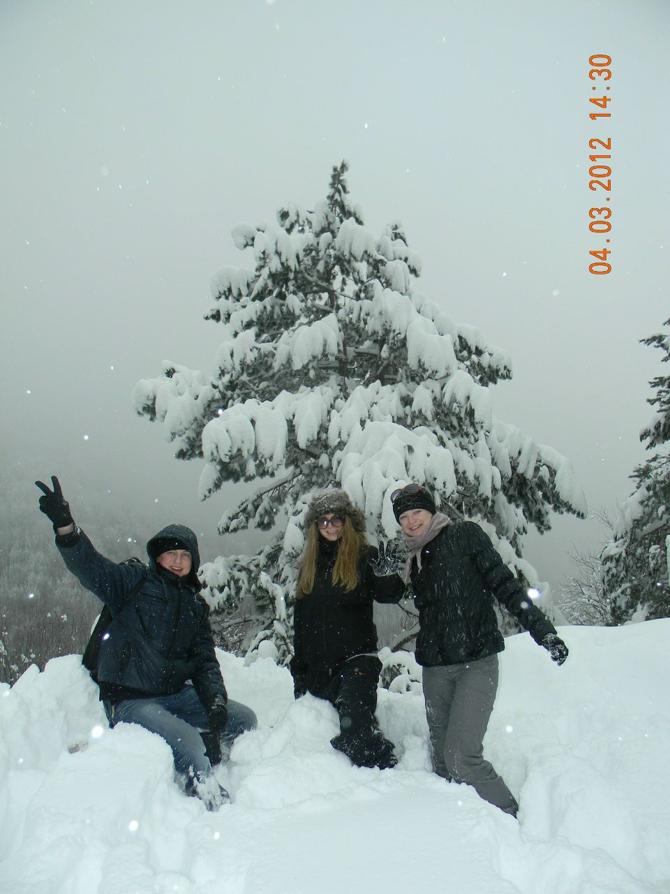 Максим Пурик | Севастополь