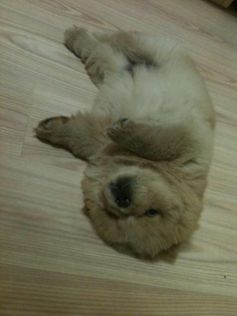 Кристина Хегай | Владивосток