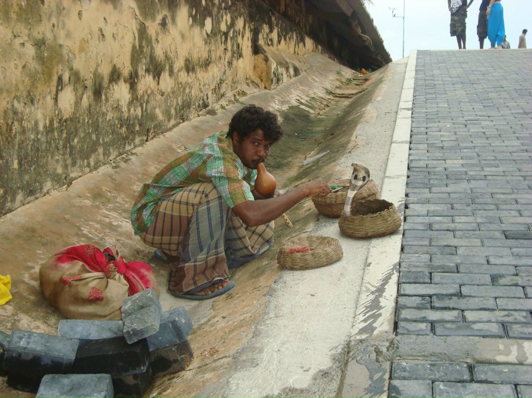 Ольга Андрушевич | Москва