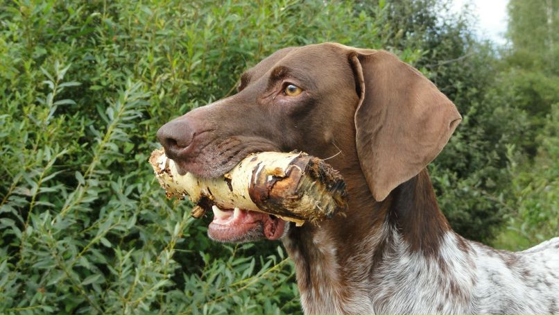 Сорейя Баутдинова | Москва