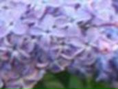 Люба Тархова | Helsinki