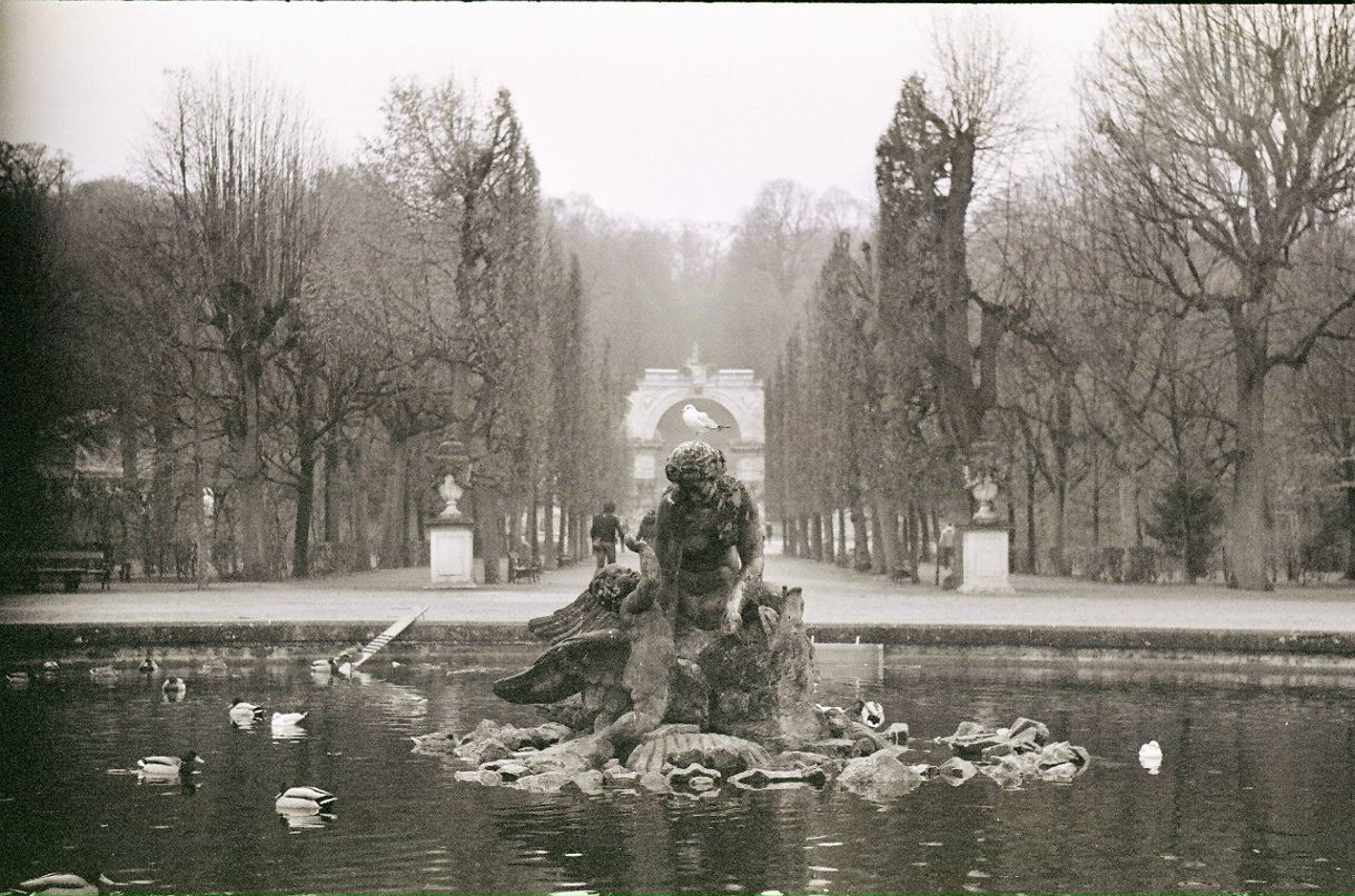 Sasha Rodina | Москва