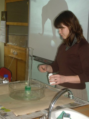 №88, Марина Синкевич, Вильнюс №88, Марина Синкевич, Вильнюс