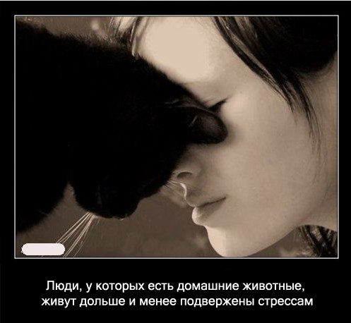 Карина Измаилова | Москва