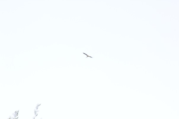 №25, Иван Никто, Москва №25, Иван Никто, Москва