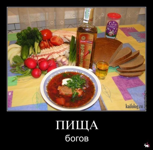 Петр Осыка | Житомир