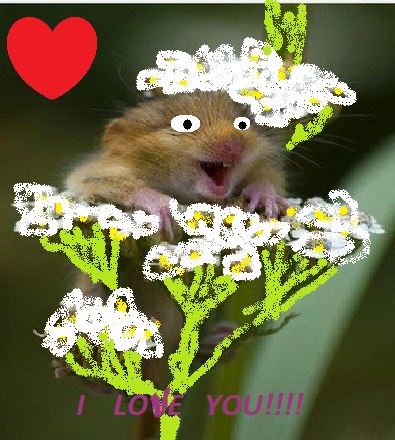 Елена Канева | Усть-Уса