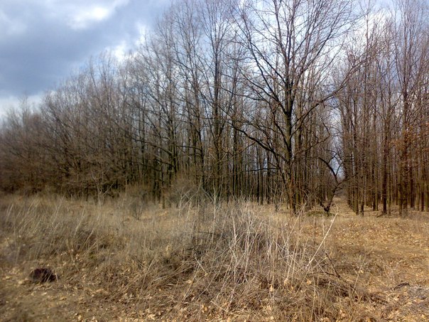 №14, Юрий Планокуровичь, 32 года, Горловка №14, Юрий Планокуровичь, 32 года, Горловка