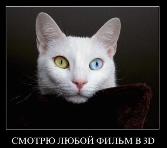 Андрей Галинский | Москва