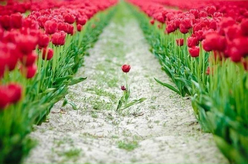 Оксана Рослякова | Санкт-Петербург