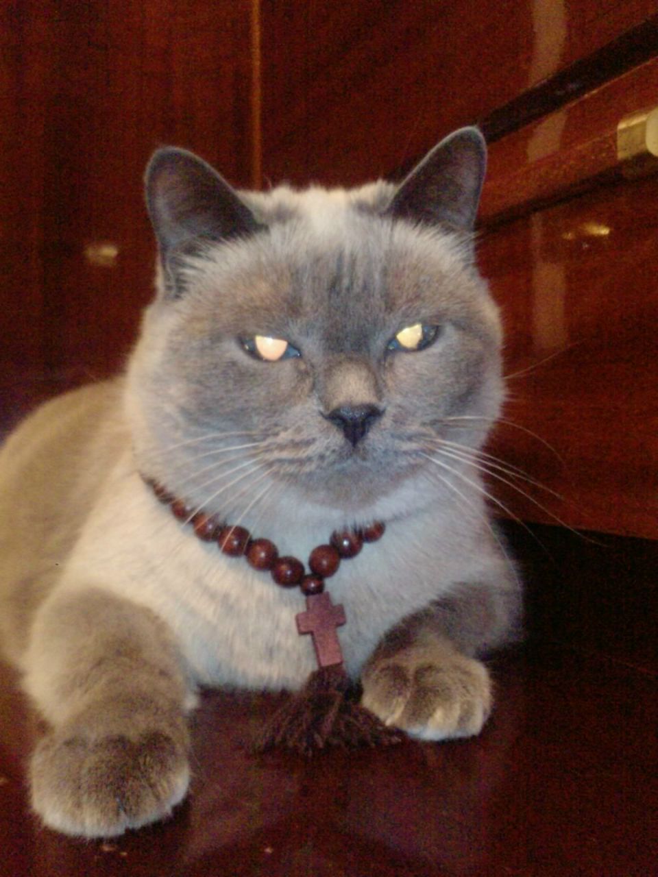 Андрей Винтонив | Сургут