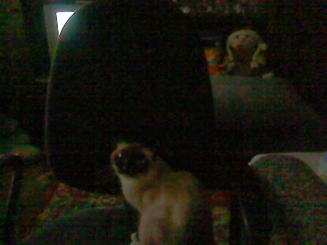 Валерия Сафронова | Североонежск