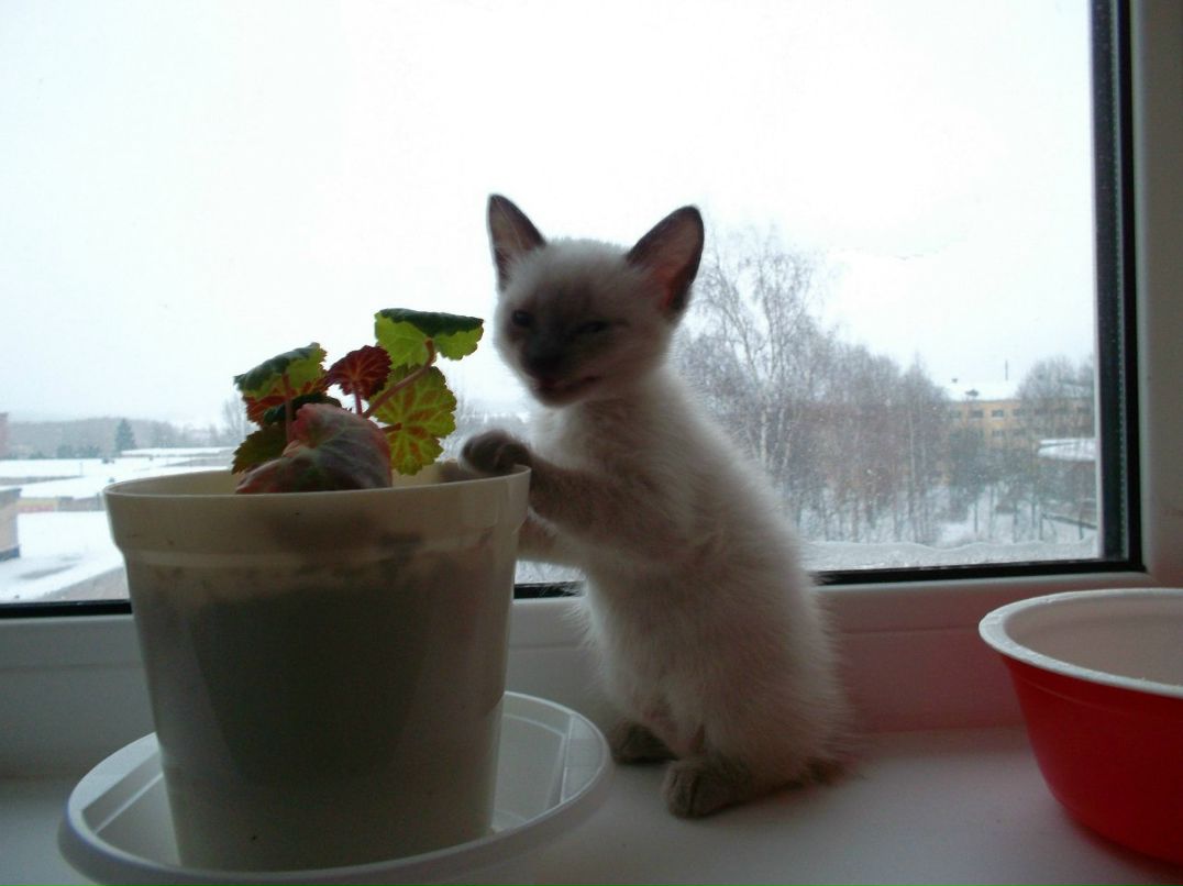 Наталья Апполинарьева | Валдай