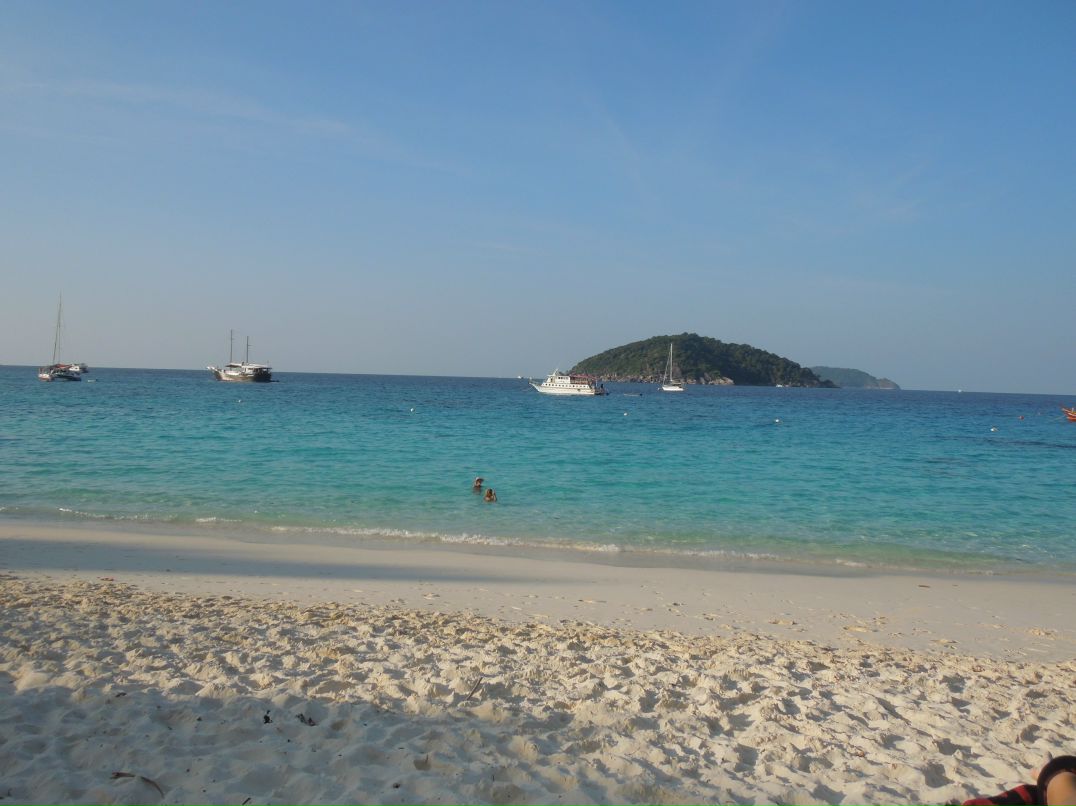 Алексей Степанов | Москва