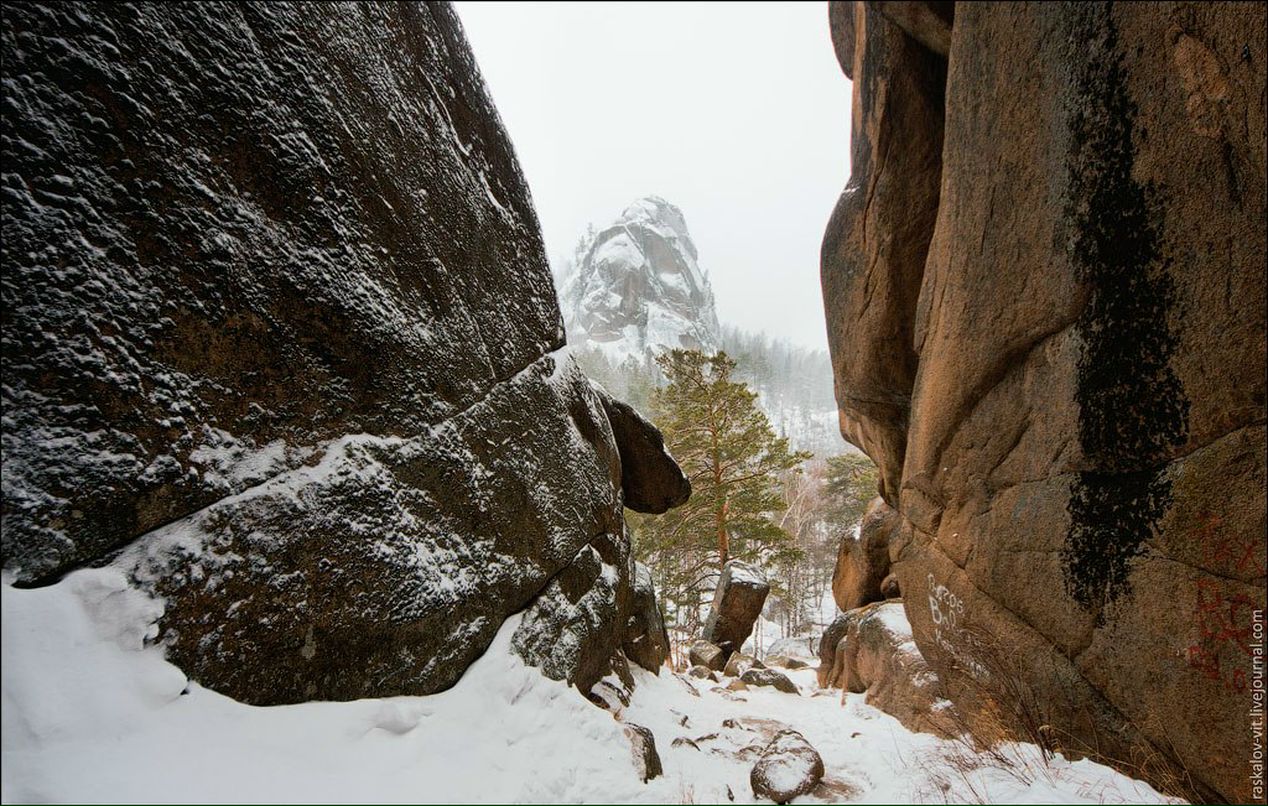 Дмитрий Пташкин | Москва