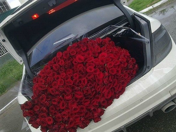 Nikita Shtompel | Cochabamba