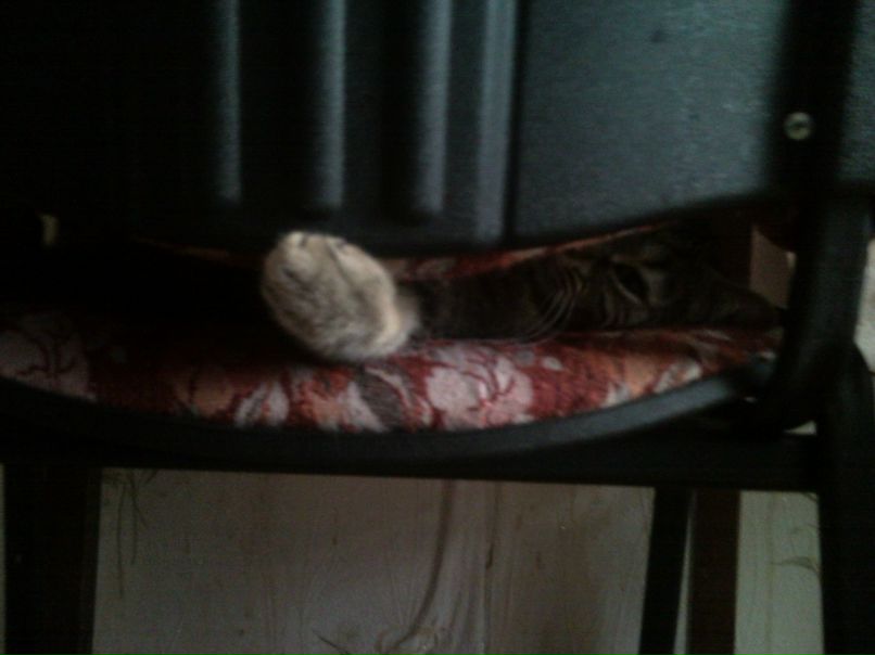 Маня Светлова | Санкт-Петербург