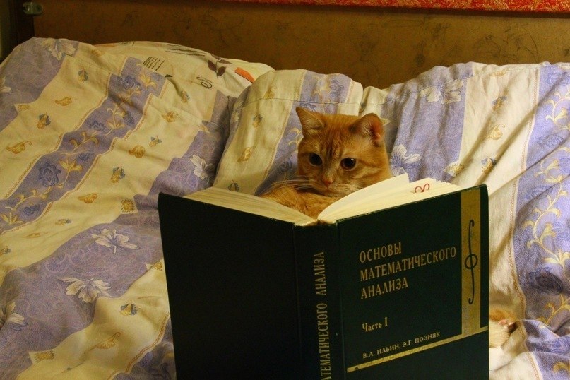 Саша Островский | Санкт-Петербург