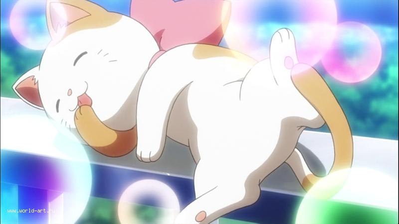 Константин Иванов | Санкт-Петербург