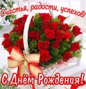 Фотография Альмира Ибрагимова
