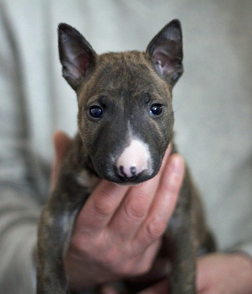 Роман Касымов | Астана / Нур-Султан