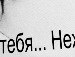Рашит Фахрутдинов | Архангельск