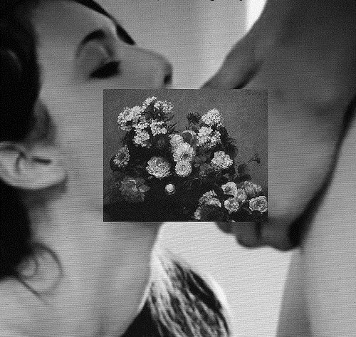 №13, Rori Brown, Киев №13, Rori Brown, Киев