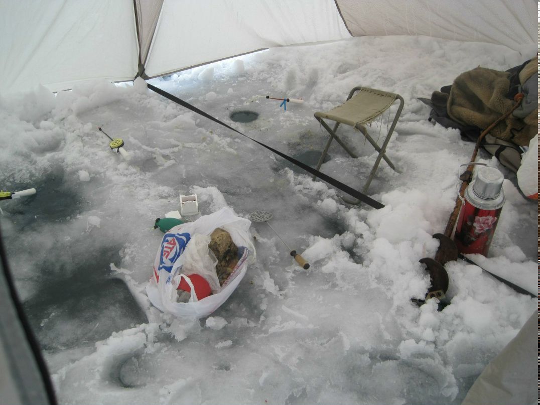 Андрей Пукович tipo4ek238 | Харьков