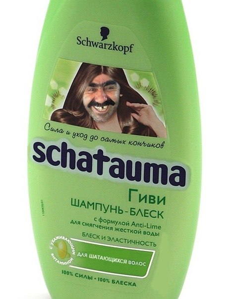 Vagabond Vagabond 葉戈爾 | Чагода (деревня)