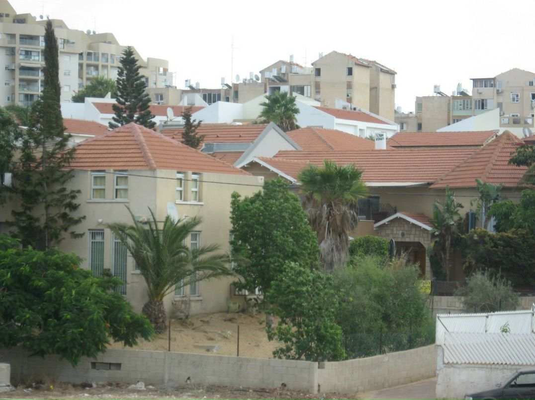 Светлана Фадеева | Калининград