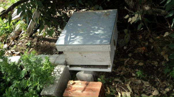 №12, Hamza Methanni, Омск №12, Hamza Methanni, Омск