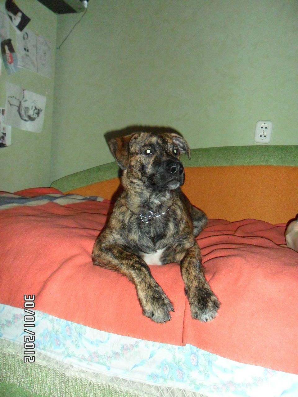 Александр Колодей 웃♥유 | Жлобин