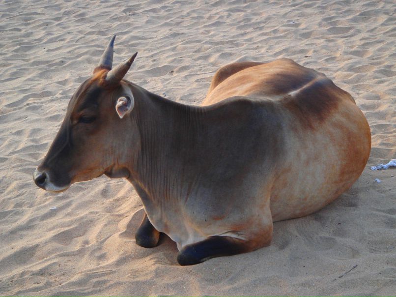 Маша Жарикова | Москва