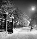 Фотография Іваниной Олександры