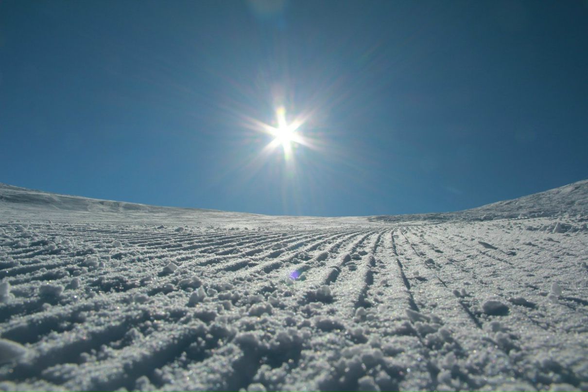 Дмитрий Шкарбанов | Алматы