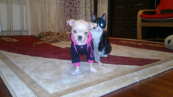 Светлана Алексеева | Санкт-Петербург