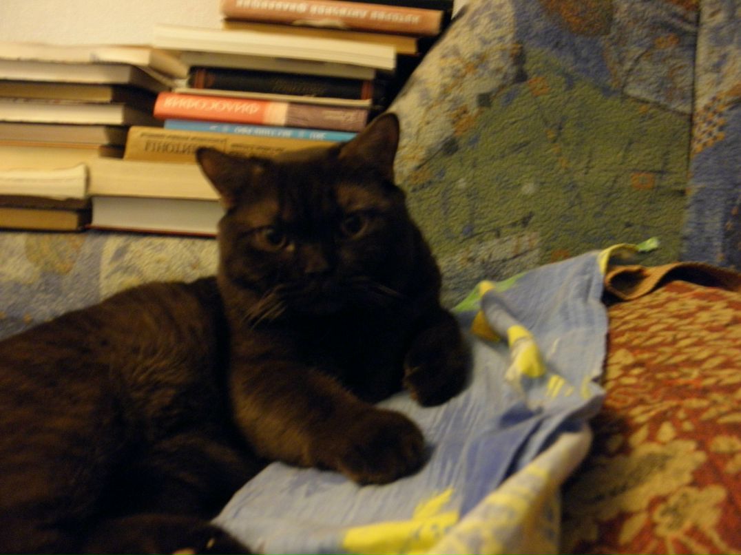 Антон Магомедов | Новосибирск