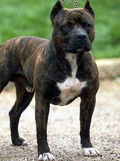 Эдик Вербицкий | Киев