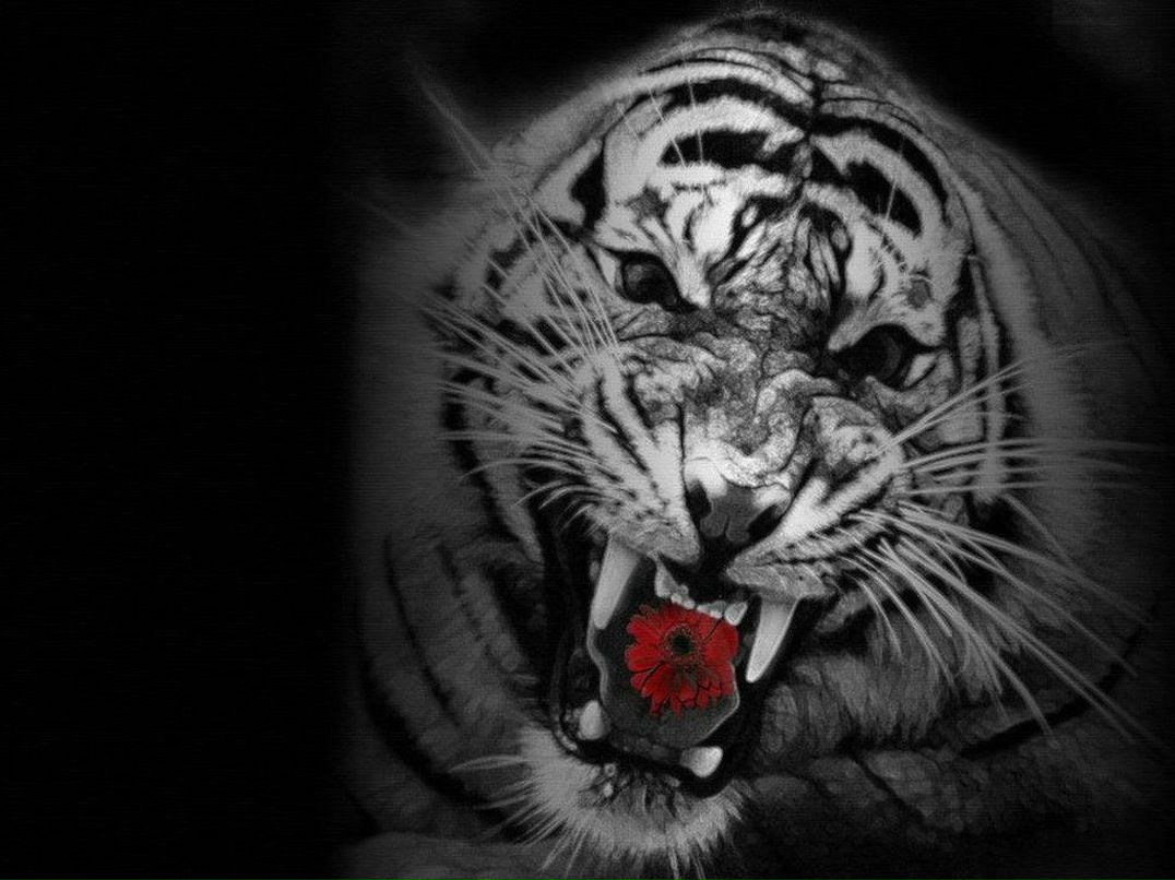 Евгений Васильев | Санкт-Петербург