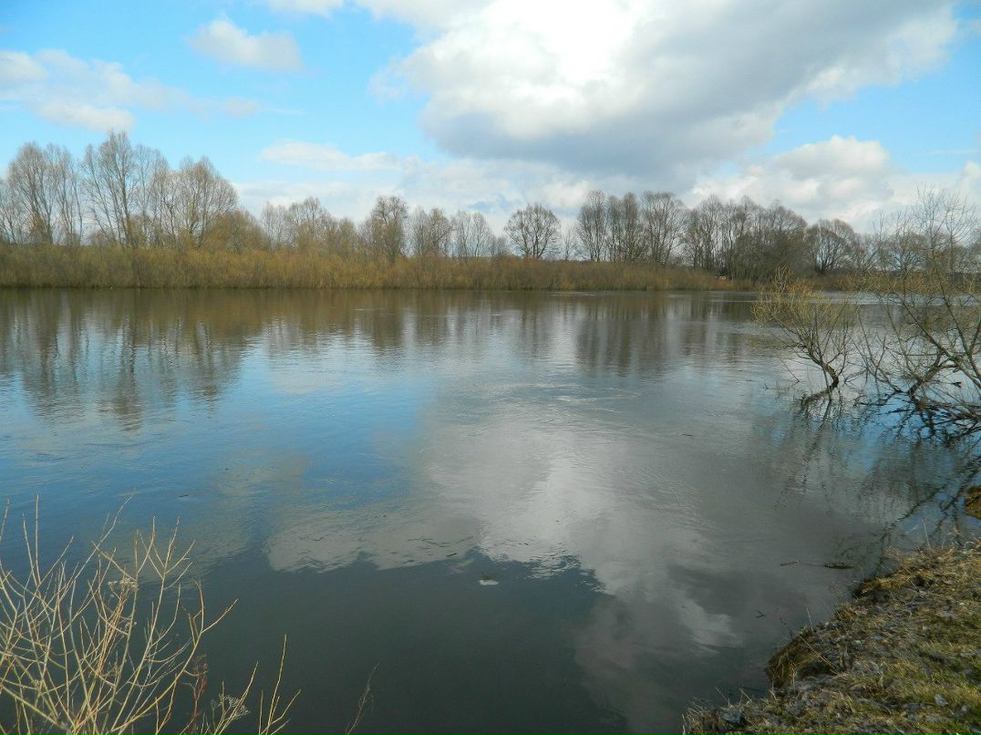 Алла Кобец | Новгород-Северский