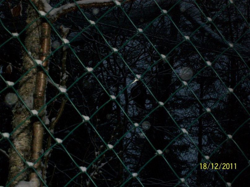 Алина Ескина *без подруги не как* | Костомукша