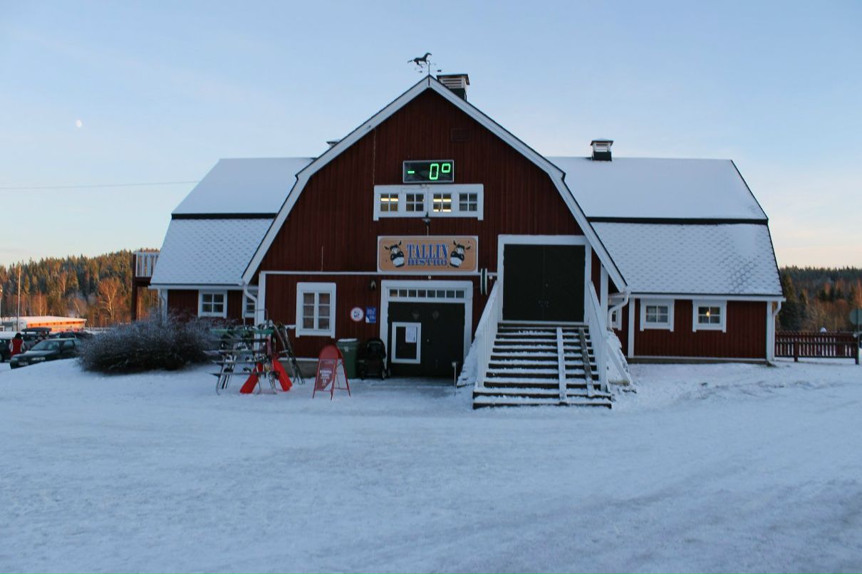 Денис Поташев | Санкт-Петербург