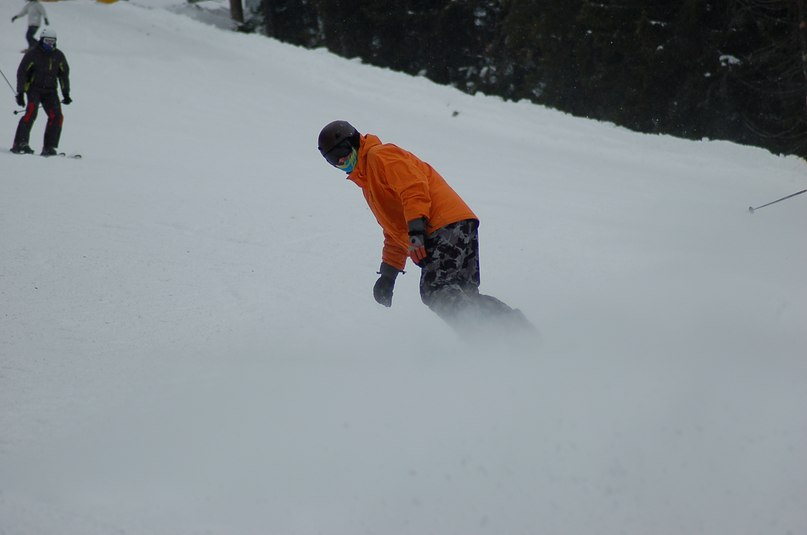 Александр Иванюшкин Kaktus | Минск