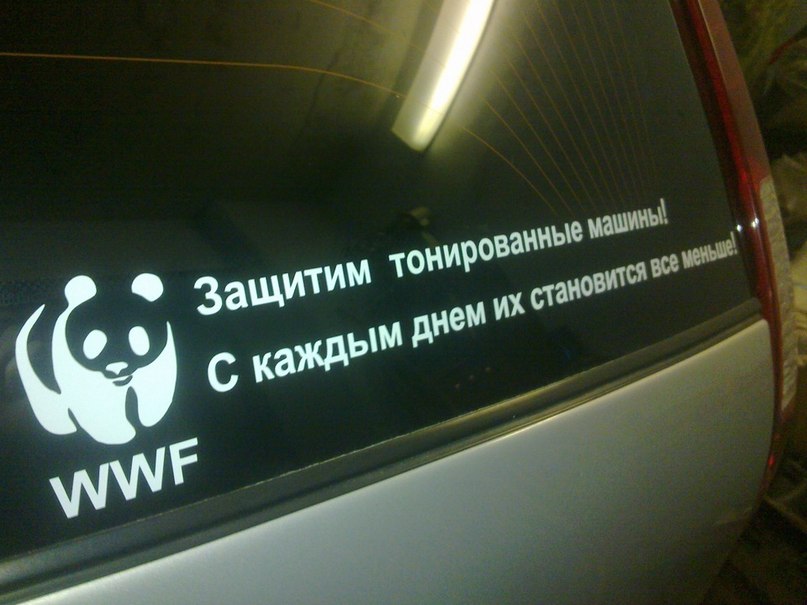 Вардгес Мурадян Альбертович | Чалтырь