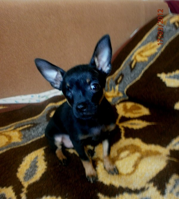 Юлия Костючок | Симферополь