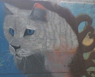 Евгений Сапожников Terry26TrueBlue | Москва