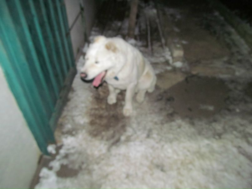 Александр Москаленко | Кременная