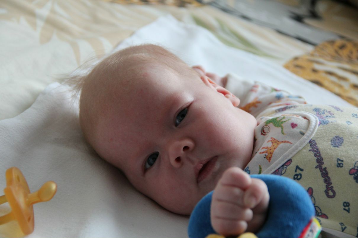 Дмитрий Колесов | 